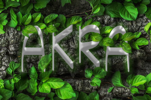 Akra: The Handwritten Font That Elevates Small Business Brands