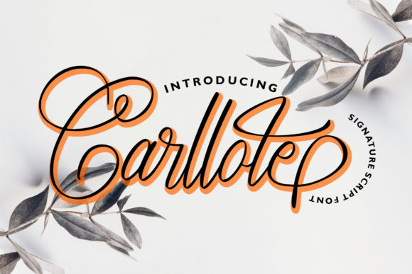 Carllote: The Script Font for Elegant Branding