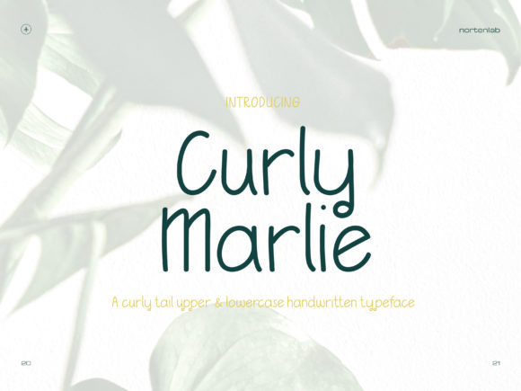 Curly Marlie: A Minimal Handwritten Typeface for Modern Brands
