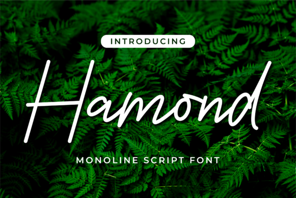 Hamond Font Review: A Delicate Script for Elegant Design
