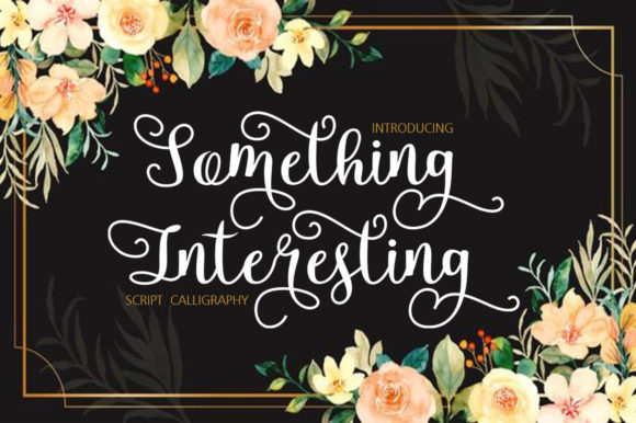 Something Interesting Font for Bold Web Typography