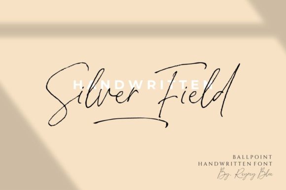 Using Silver Fields for Campaigns That Convert